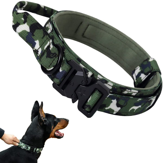 Adjustable Nylon Dog Collar