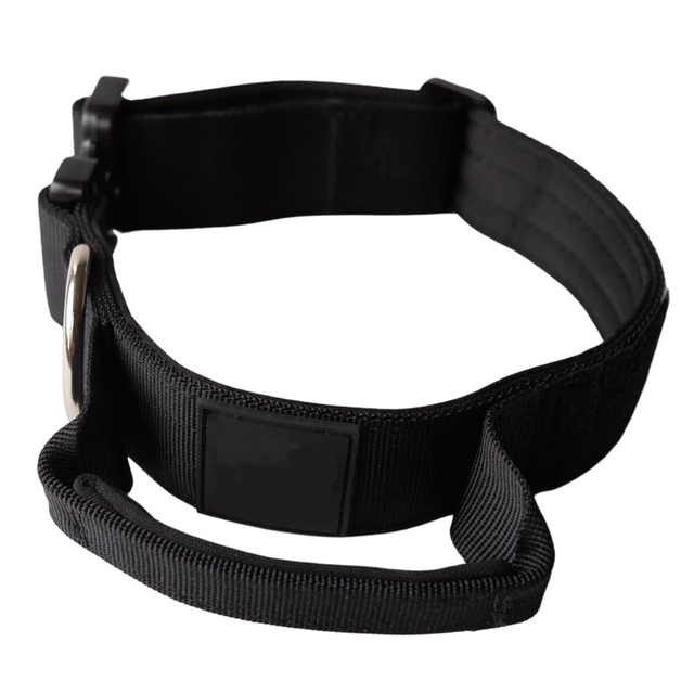 Dog Collar with Quick Release Buckle 