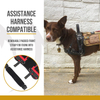 Tactical Service Dog Vest