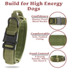 Training Dog Collar with Handle And Metal Buckle