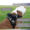 Working dog vest harness with reflective stitching 