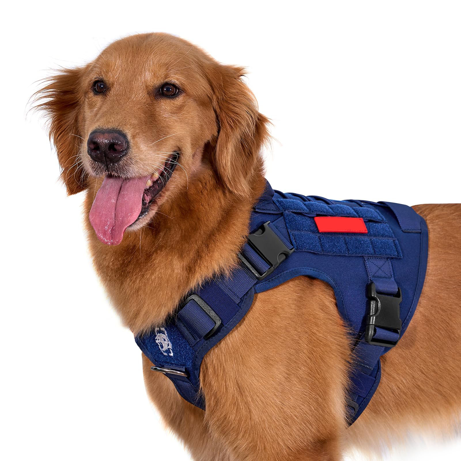 What is the best dog backpack?