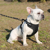 Adjustable Soft Padded Dog Vest Harness