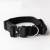 Dog Collar with Quick Release Buckle 