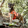  Tactical Dog Harness Vest with Handle