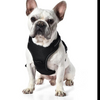 Adjustable Soft Padded Dog Vest Harness